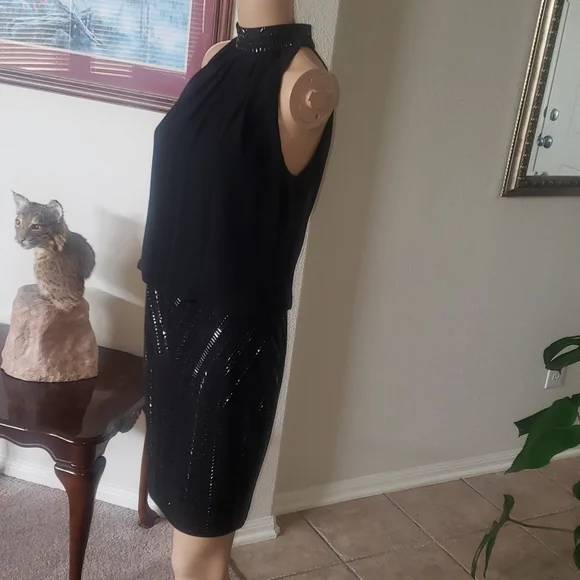 Cache 2 beaded mockneck & skirt flowy upper keyhole back - Picture 4 of 11